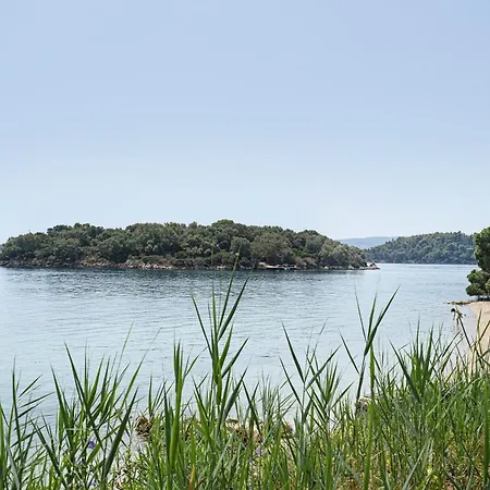Apartman Mezoneta 3
